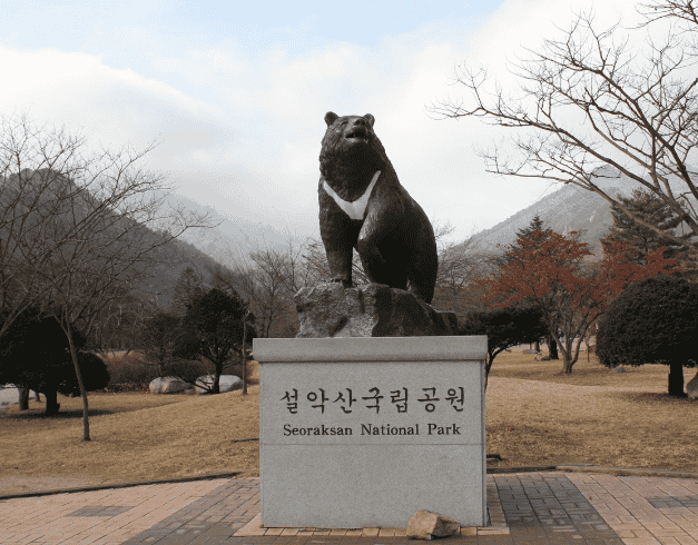 (WH27) 3N5D SPOTLIGHT KOREA MUSLIM CHERRY BLOSSOM Dep : 04 – 08 APR'19 By GA 2