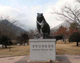(WH27) 3N5D SPOTLIGHT KOREA MUSLIM CHERRY BLOSSOM Dep : 04 – 08 APR'19 By GA