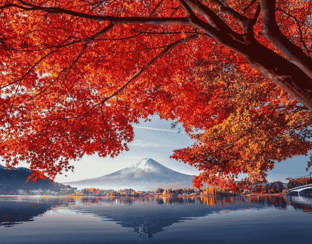 (LEBARAN EDITION)  7D5N JAPAN GOLDEN ROUTE + THEMEPARK (Tokyo-Kawaguchi-Mt.Fuji-Hamamatsu-Osaka-Toyohashi-Kyoto-Osaka) By MH Dep 21 Apr'23 (WH05) 1