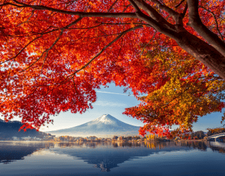 (LEBARAN EDITION)  7D5N JAPAN GOLDEN ROUTE + THEMEPARK (Tokyo-Kawaguchi-Mt.Fuji-Hamamatsu-Osaka-Toyohashi-Kyoto-Osaka) By MH Dep 21 Apr'23 (WH05)