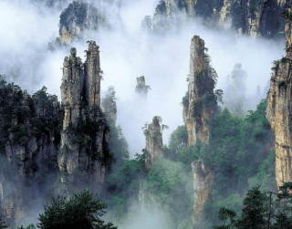 Tour China Murah 9D China  Jiangxi + Huangshan Jiangxi – Huangshan – Hangzhou – Shanghai By Cx On : 09 & 23 Nov  ; 07 & 14 Dec 2023 (wh03) 