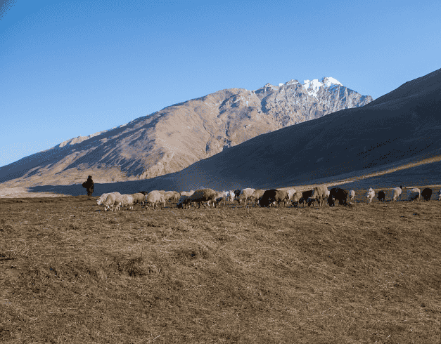 Tour 8D Inner Mongolia 2025 1