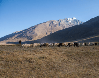 Tour 8D Inner Mongolia 2025