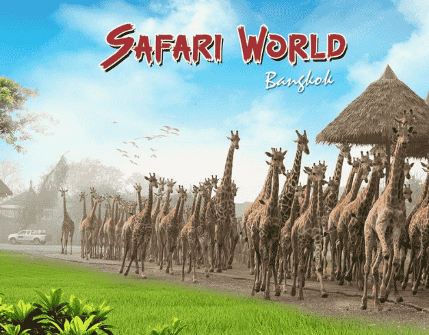 LAND TOUR 4D3N SAFARI + MARINE PARK Periode : APR – OCT 2023 (WH60) 1