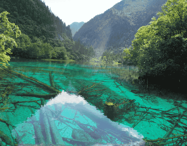 (wh01)8D6N Amazing Jiuzhaigou + Leshan & Emeishan By Ca Dep 18 Jul, 15 Aug 2023 1