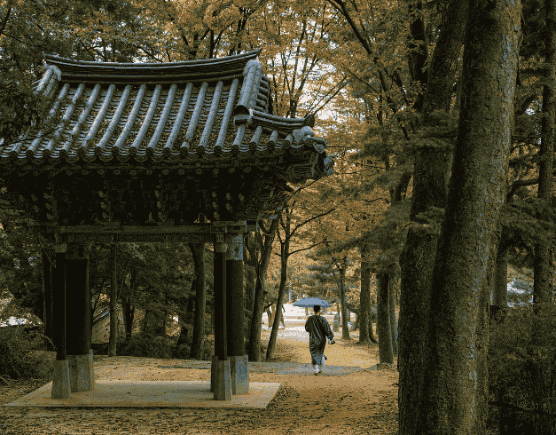 Enjoy Lebaran Blossom Korea 7D + Everland Theme Park  & Suwon Starfield Library By Malaysia Airlines *premium Airlines* Dep Mar & Apr '25 (wh 51 - T03) 1