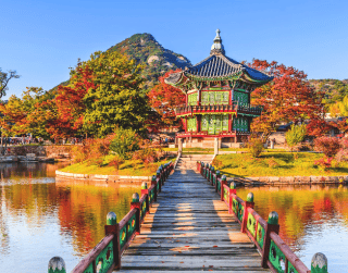 Korea Everland Sonata + Hongkong 7D (nami Island – Seoul) By Cathay Pacific Dep 28 Jun'23 (wh05)