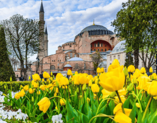 TOUR TURKI 10D7N TURKI ASIK TULIP ON 29 APRIL – 08 MAY 2025 BY ETIHAD (wh42-T2)