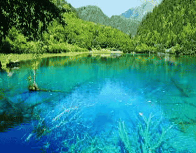 8D Jiuzhaigou Leshan Emeishan Scenic Tour 1