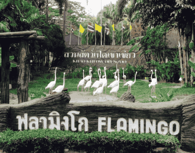 Tour Thailand 2026 4D Bangkok Safari Marine Park  1