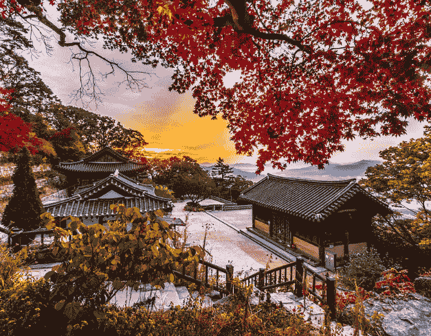 Tour Korea Exciting Blossom Lebaran Holiday Korea+everland Theme Park 7D Dep : 27 & 29 Mar'25 By Garuda Indonesia (wh51)  1