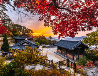 Tour Korea Exciting Blossom Lebaran Holiday Korea+everland Theme Park 7D Dep : 27 & 29 Mar'25 By Garuda Indonesia (wh51) 
