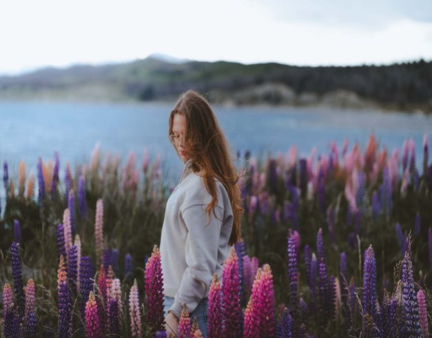 7D Spring New Zealand Lupin Season 1