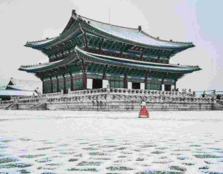 Tour Korea 6D Year End Mega Sale + Lotte World