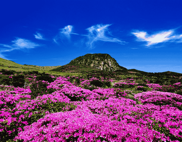 6D4N New Romantic Tour Korea Dep 8JAN'19 (wh04) By Asiana Airlines  1
