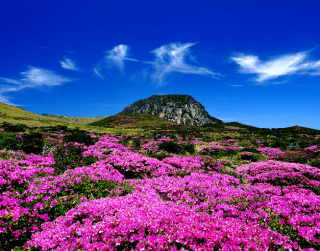6D4N New Romantic Tour Korea Dep 8JAN'19 (wh04) By Asiana Airlines 