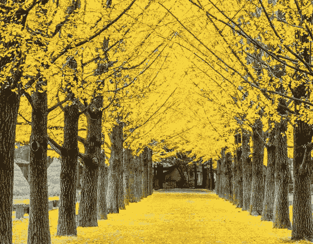 Tour Korea Super Crazy Sale Korea 5D By  (nami Island - Seoul) Dep 10 Mei'24 Batik Air Malaysia (wh51) T4 1