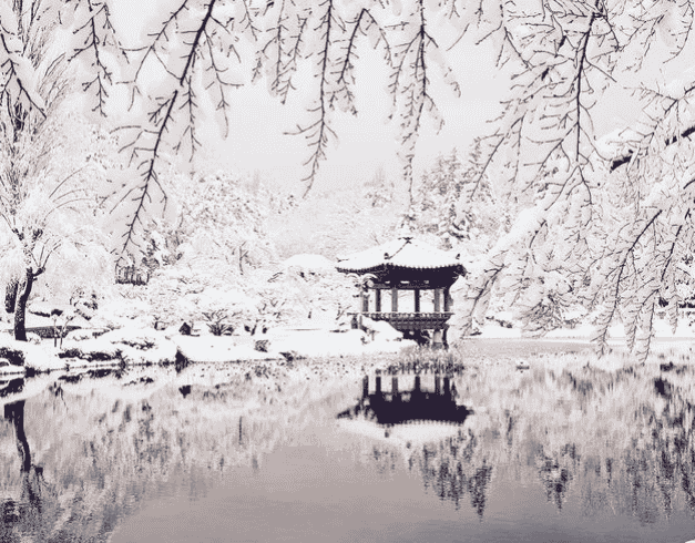 Tour Korea 2025 New Year Exciting Winter Korea 7D With Everland  1