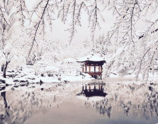 Tour Korea 2025 New Year Exciting Winter Korea 7D With Everland 