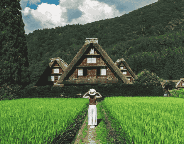 Tour Jepang 2026 7D Japan Super Sale Golden Route + Shirakawago 1
