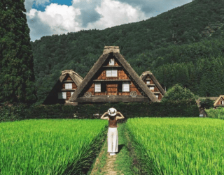 Tour Jepang 2026 7D Japan Super Sale Golden Route + Shirakawago