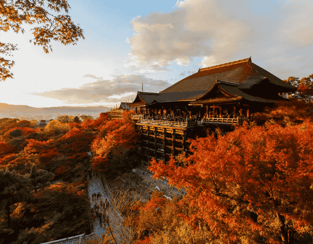 Tour Jepang 2026 7D Shocking Sale Golden Route + Shirakawago 1