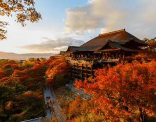Tour Jepang 2026 7D Shocking Sale Golden Route + Shirakawago