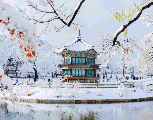 Tour Korea 7D Winter New Year Busan Seoul 1