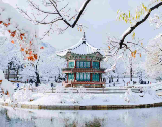 Tour Korea 7D Winter New Year Busan Seoul