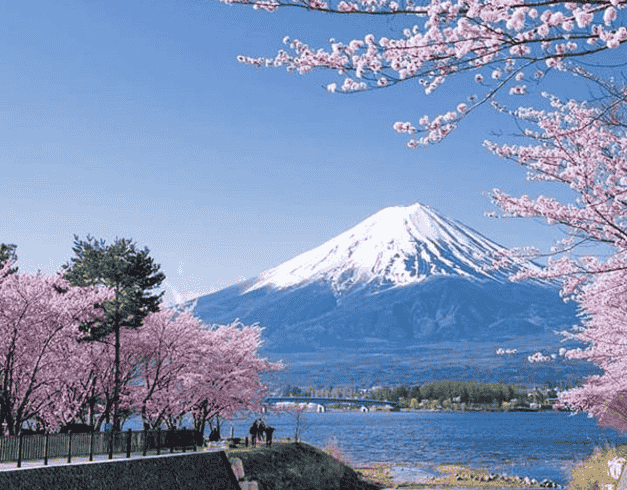 Tour Japan 2026 6D Oishi Tokyo + Kawaguchi 1
