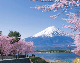Tour Japan 2026 6D Oishi Tokyo + Kawaguchi