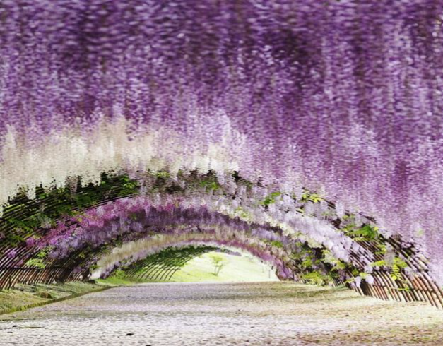 7D Winter Escape Fukuoka + Jewel Changi 1