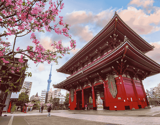 Long Weekend Japan Tokyo Kimono + Sakura 7D4N (tokyo-kawaguchi-mt.fuji) Dep 19 Mar By Royal Brunei (wh05) 1