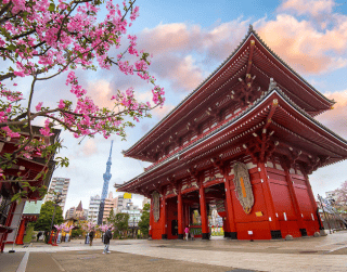 Long Weekend Japan Tokyo Kimono + Sakura 7D4N (tokyo-kawaguchi-mt.fuji) Dep 19 Mar By Royal Brunei (wh05)