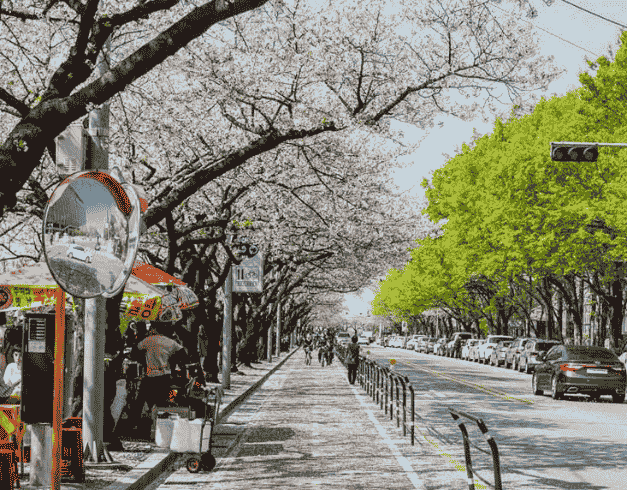 Tour Korea 2025 7D Special School Holiday With Lotte Theme Park 1