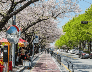 Tour Korea 2025 7D Special School Holiday With Lotte Theme Park