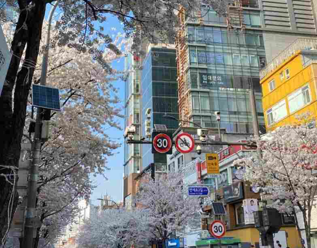 Tour Korea Private Land Tour 3 Can Go Best Seoul + Nami Island 1