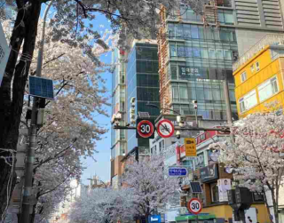 Tour Korea Private Land Tour 3 Can Go Best Seoul + Nami Island