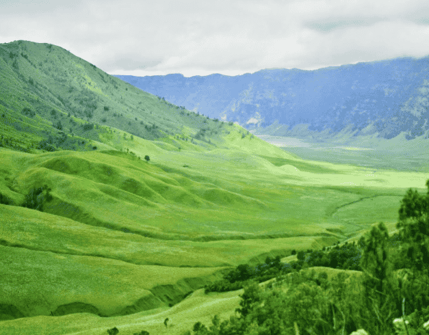4D3N BROMO BATU MALANG SURABAYA BY AIR ASIA Nov-Dec 2020 From Rp. 3.920.000 ( WH-60) 1