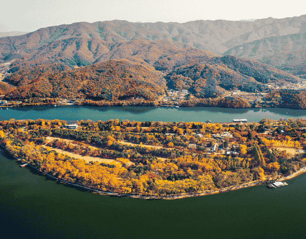 5D3N Spring Korea Cherry Blossom Dep 2 Apr'19 By Oz (wh45) 1
