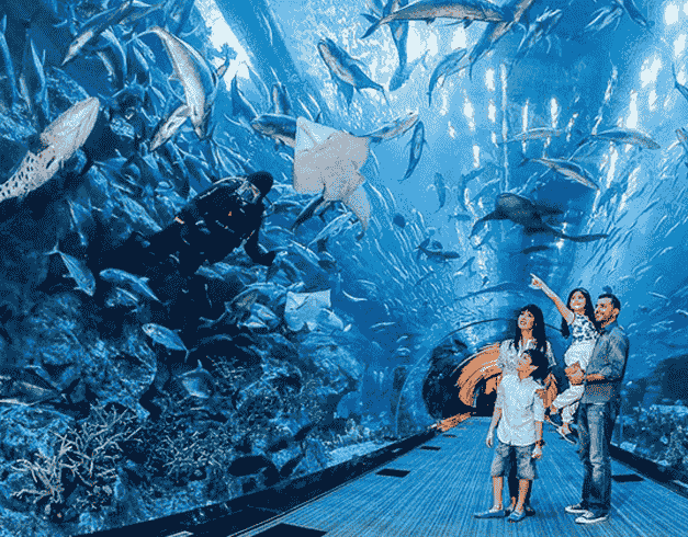 (WH39) 7D LUXURIOUS DUBAI – ABU DHABI Dep : 5,12,19,26Sep / 3,10,17,24,31Okt'20 By EK 1