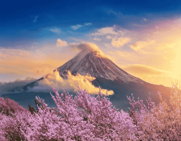 Private Tour 6 Can Go 6D5N Golden Route Osaka Kyoto Shirakawago Takayama Tokyo Mt Fuji 1
