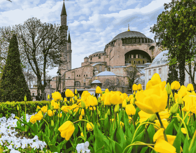 10D CONSORTIUM BEST OF TULIPA TURKEY + BOSPHORUS CRUISE DEP 11 APR by EY  (wh01) 1