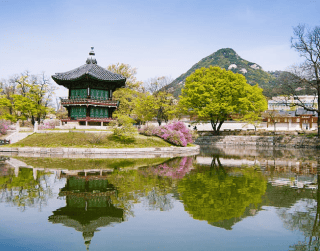 7D Series Enjoy New Korea Sorak Seoul By Singapore Airline Or Malaysia Airline Periode Agustus - Oktober'22 (wh51)