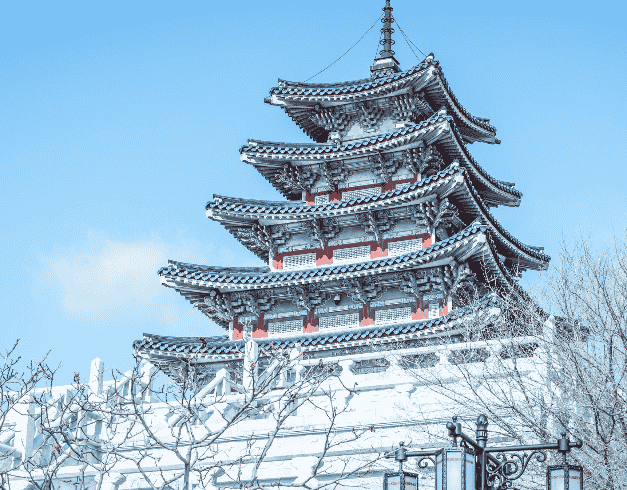 7D Memorable Christmas Holiday Korea +lotte World (wh51) By Sq Dept 21 Dec 2023 1