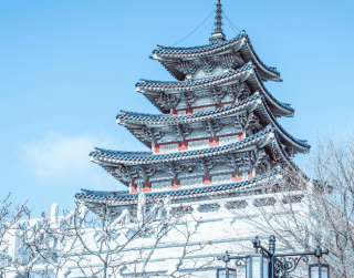 7D Memorable Christmas Holiday Korea +lotte World (wh51) By Sq Dept 21 Dec 2023