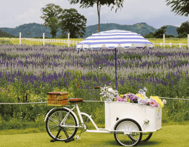 Tour Thailand 2026 5D Premium Lebaran Bangkok - Pattaya + Khao Yai 1