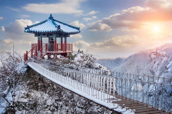 Tour Korea 2 Can Go 