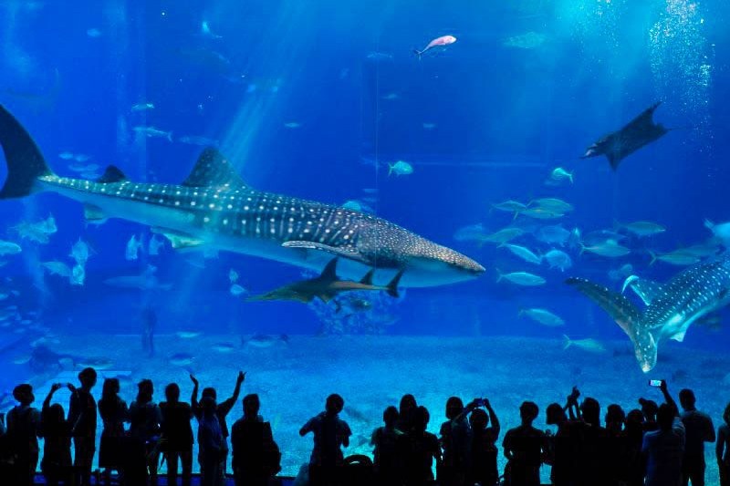 alam-wisata-jepang_large.jpg