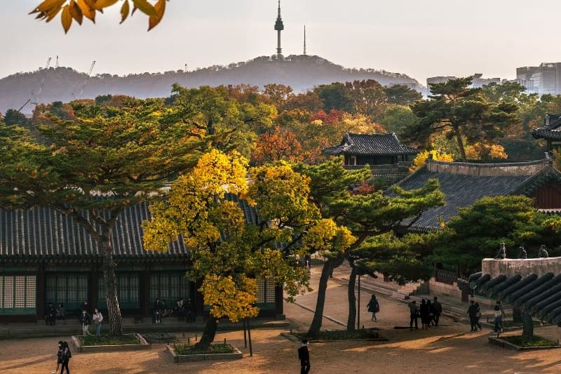 apa-musim-sepi-di-korea_large.jpg